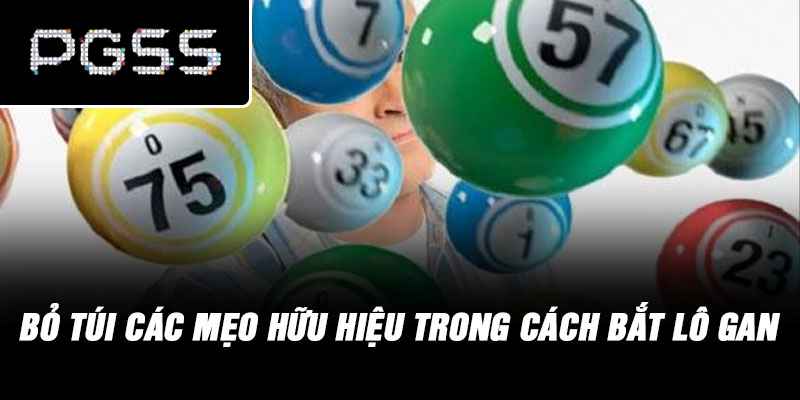 Bỏ túi các mẹo hữu hiệu trong cách bắt lô gan