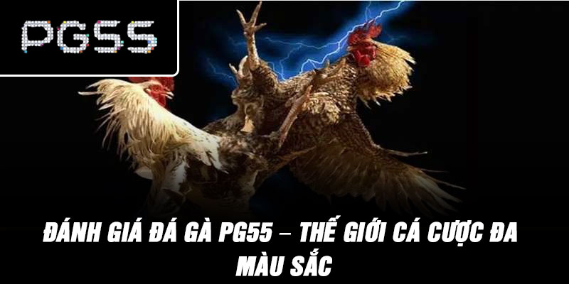 Đánh Giá Đá Gà PG55 – Thế giới cá cược đa màu sắc