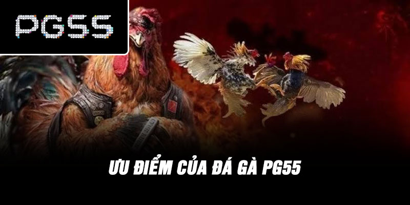 Ưu điểm của đá gà PG55